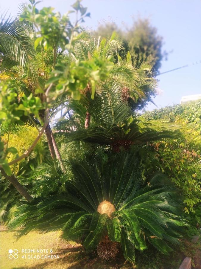 Pergolato Suite Sanremo Bagian luar foto