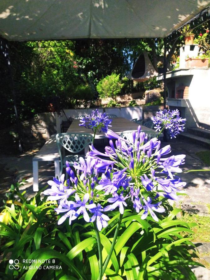 Pergolato Suite Sanremo Bagian luar foto